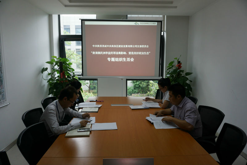 中央商务区公司党支部组织召开“肃清魏民洲李益民等流毒影响、营造良好政治生态�?专题组织生活�?JPG