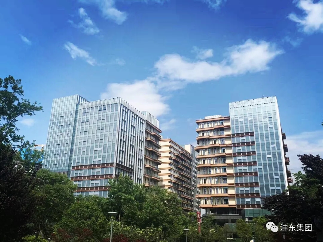 1594279627595098.jpeg 1594279627595098.jpeg