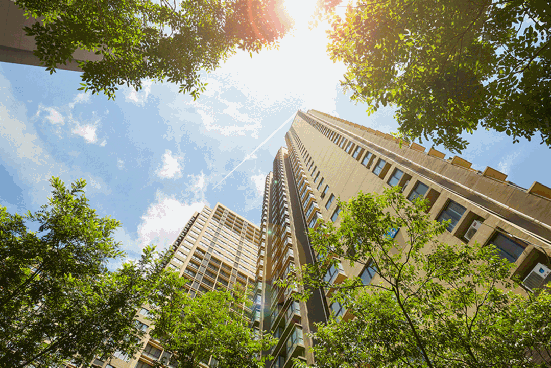 1620268864365432.gif 1620268864365432.gif