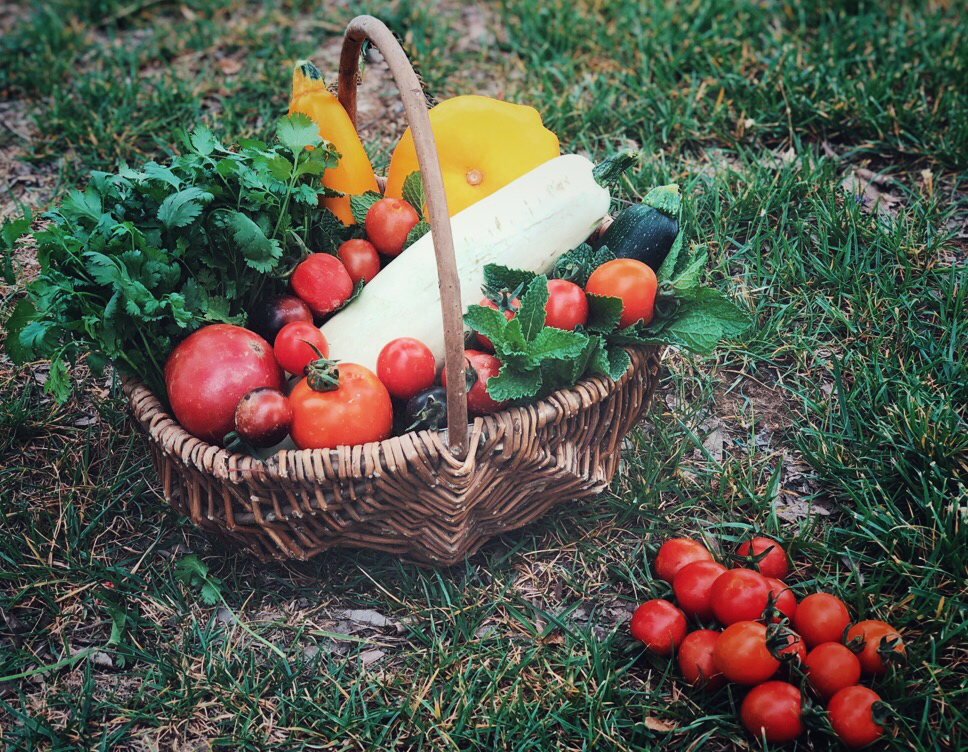 1655890716530252.png 1655890716530252.png