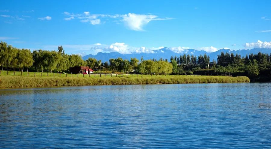 1672800154261234.jpeg 1672800154261234.jpeg