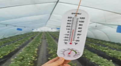 1675244294418865.png image.png