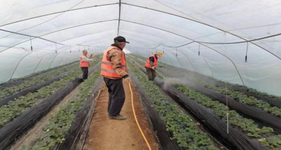 1675244340710774.png image.png