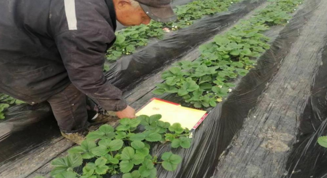 1675244365159591.png image.png