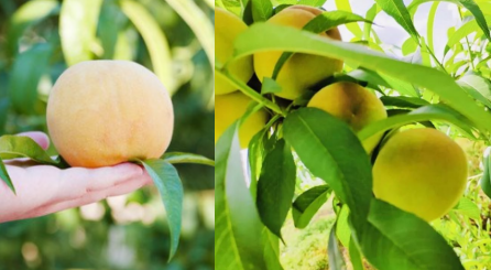 1688089132642055.png 1688089132642055.png