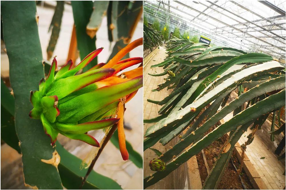 1688089151847147.jpeg 1688089151847147.jpeg