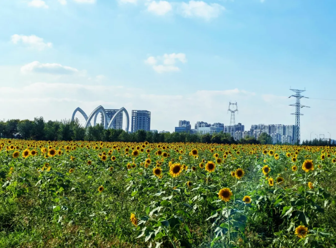 1759976930290502.png 1759976930290502.png